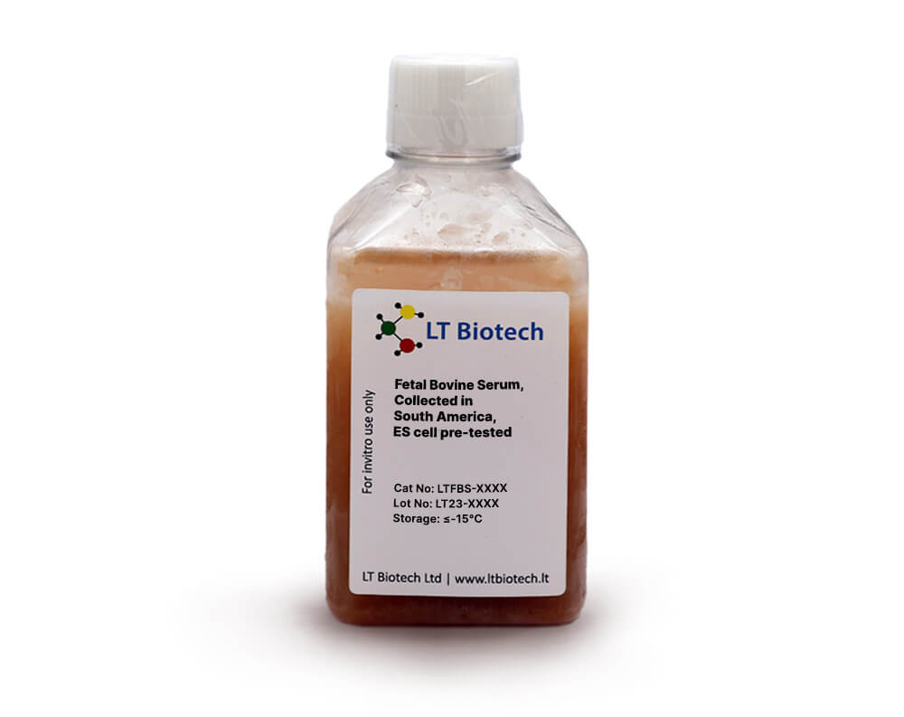 Fetal Bovine Serum, Collected in South America, ES cell pre-tested